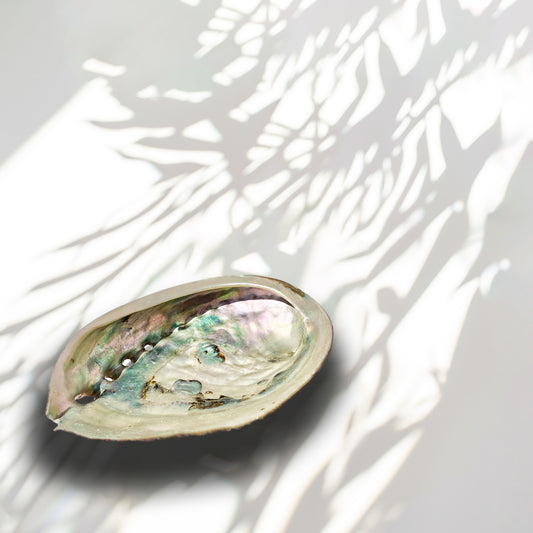 Abalone Shell Smudge Bowl